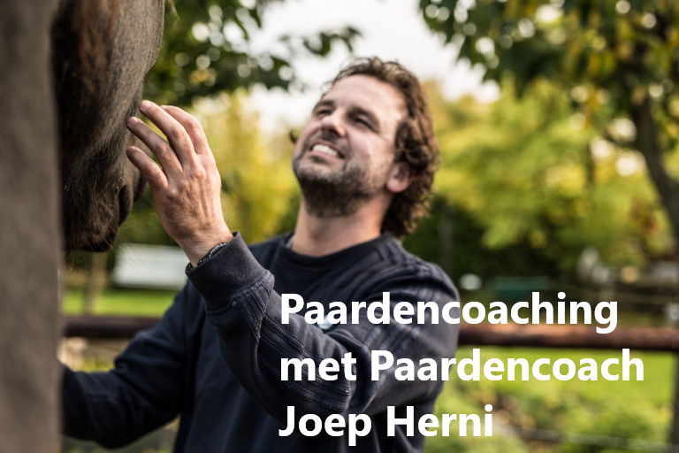 Neem een kijkje in je ziel met paardencoaching